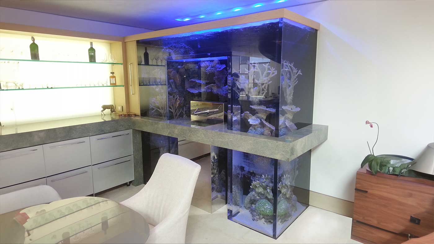 Bar Aquarium