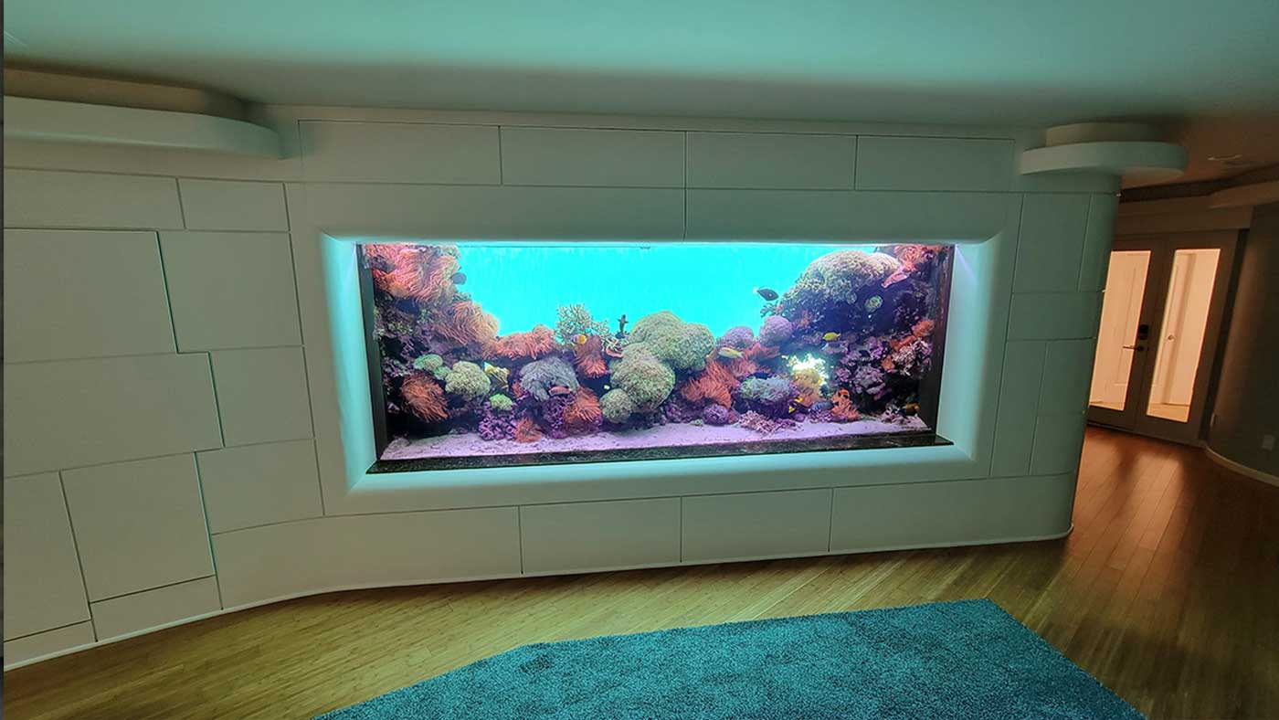 Inside View of the Underwater Pool Aquarium